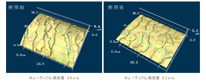 収まり試験