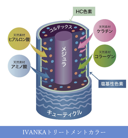 イヴァンカヘアカラートリートメントの仕組み