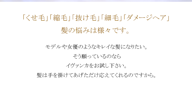 「くせ毛」「縮毛」「抜け毛」「細毛」「ダメージヘア」髪の悩みは様々です。