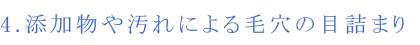 4.添加物や汚れによる毛穴の目詰まり