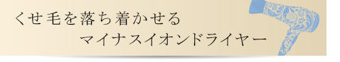くせ毛を落ち着かせるマイナスイオンドライヤー