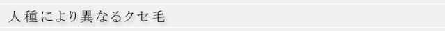 人種により異なるクセ毛