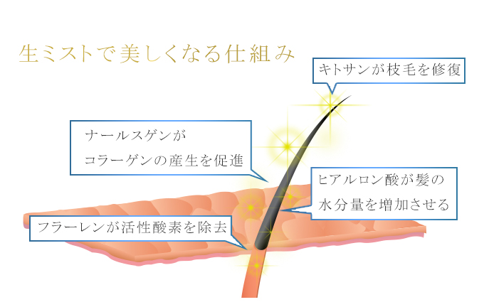 フラーレンが髪を守る