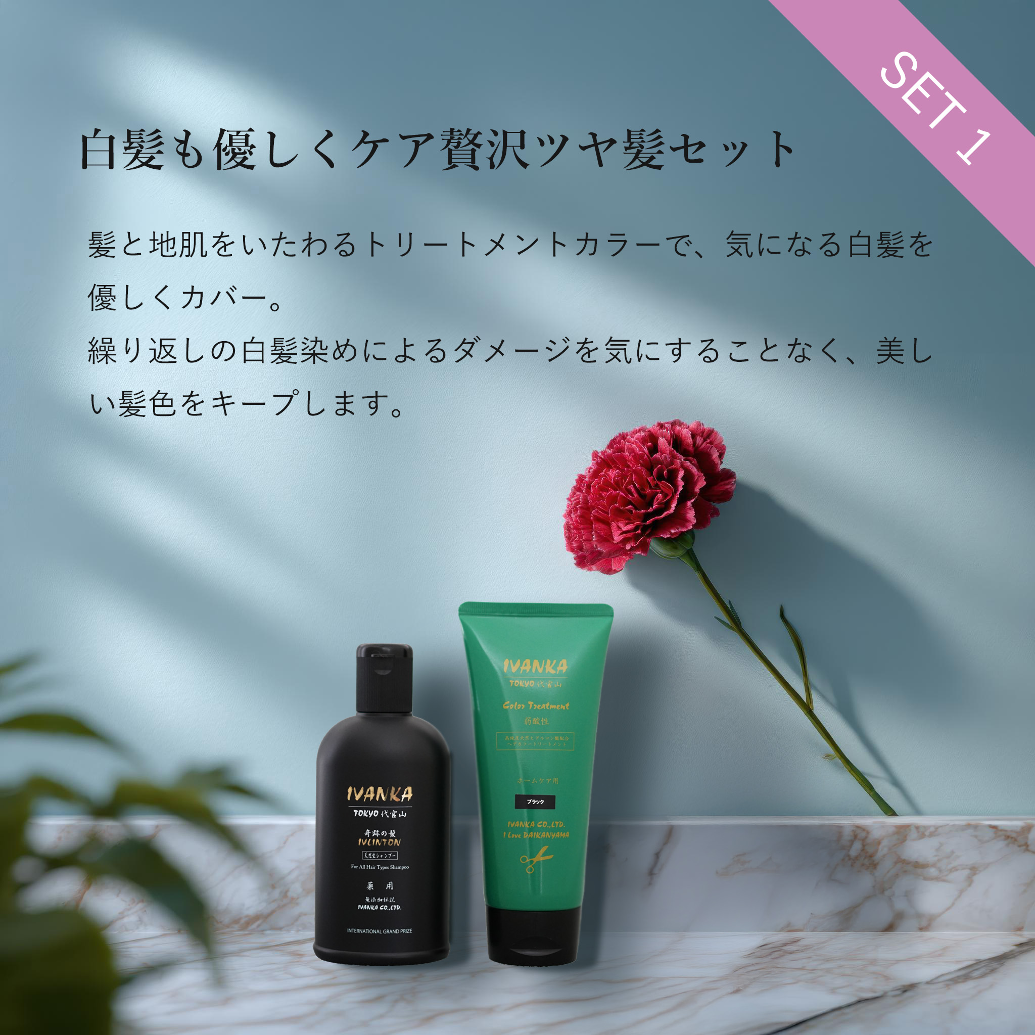 白髪も優しくケア贅沢ツヤ髪セット