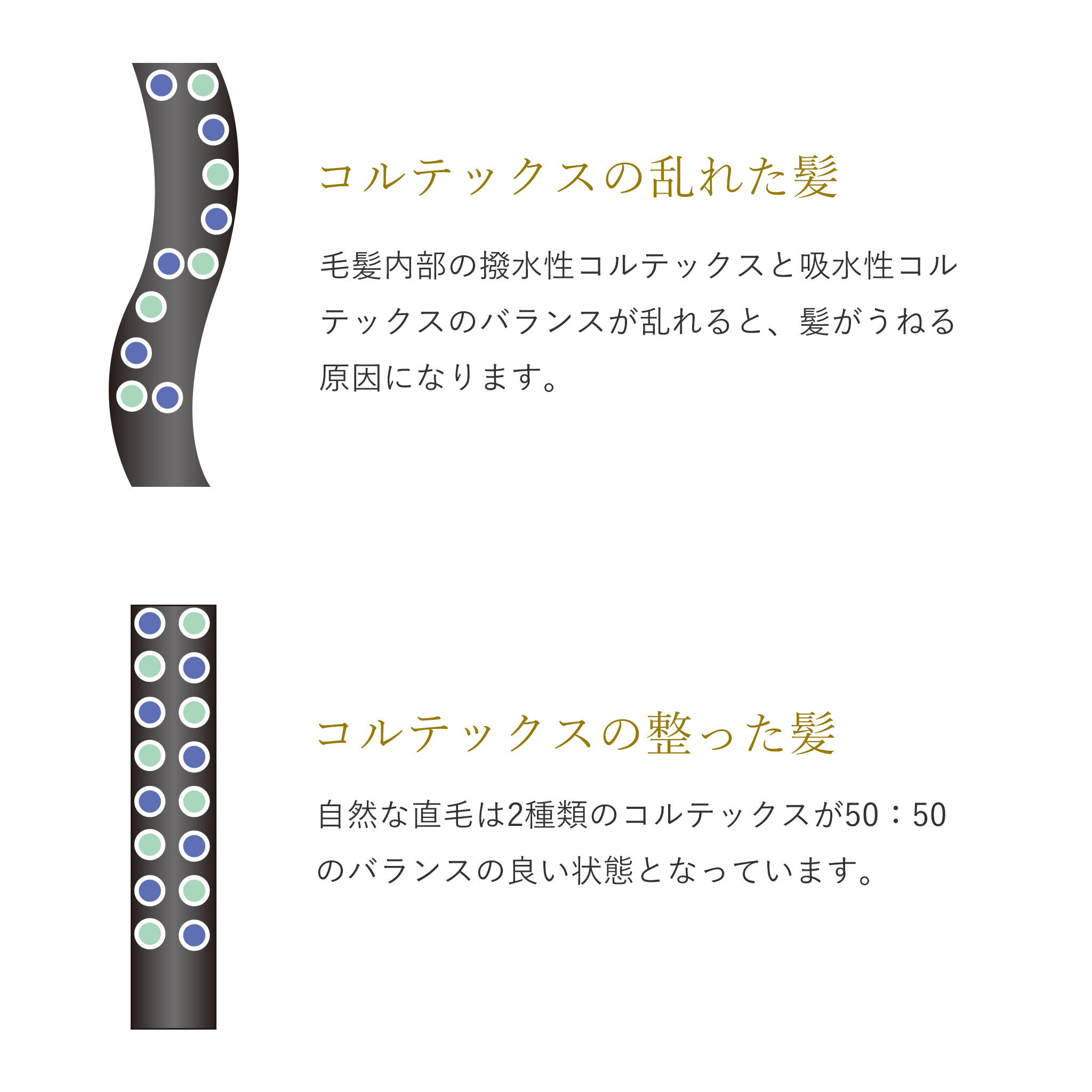 くせ毛用シャンプーIVANKAリストロ
