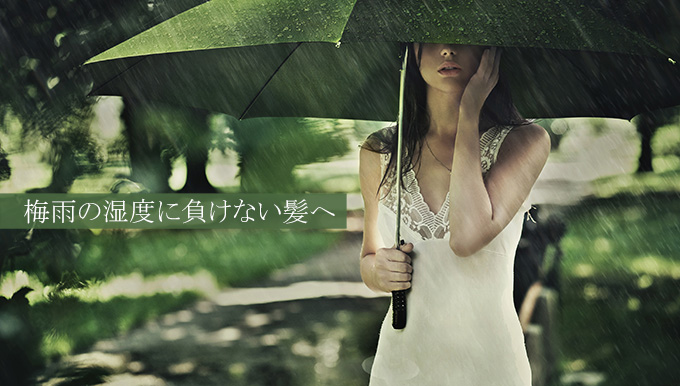 梅雨限定セット
